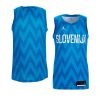 slovenia away blue replica jersey